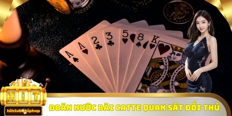Đoán nước bài Catte quan sát đối thủ